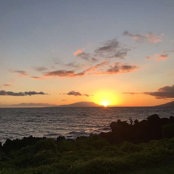 Meet your Posher, Krystal - Picture 1 of 1